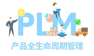PLMģͼҪ