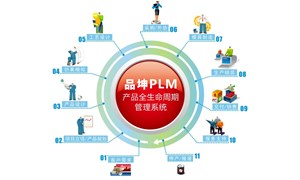 PLMIPDϵ