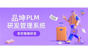 PLMзϵͳļҺ